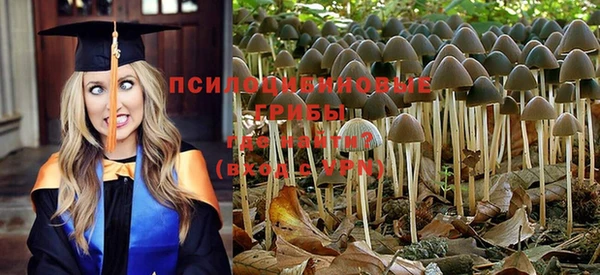 спиды Дубовка