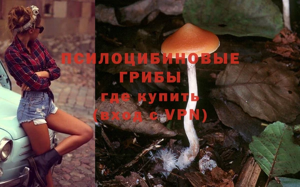 индика Дрезна