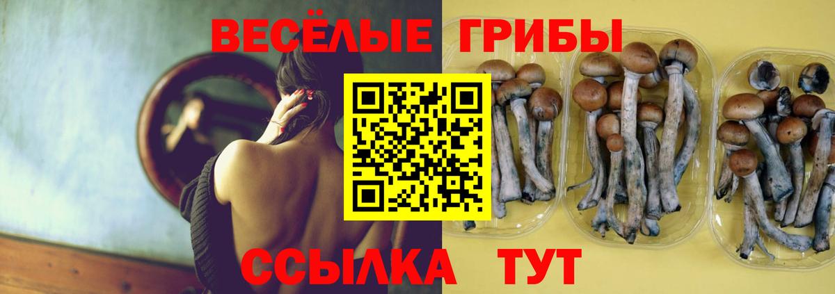 Бирск  Галлюциногенные грибы GOLDEN TEACHER  Вход с VPN 